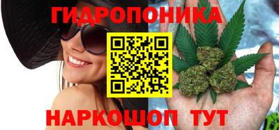 ECSTASY Гусев