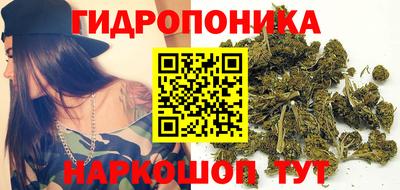 соль ск Гусиноозёрск