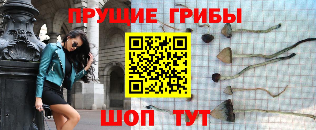 Галлюциногенные грибы мицелий  Вход с VPN  Галлюциногенные грибы Cubensis  Орёл 